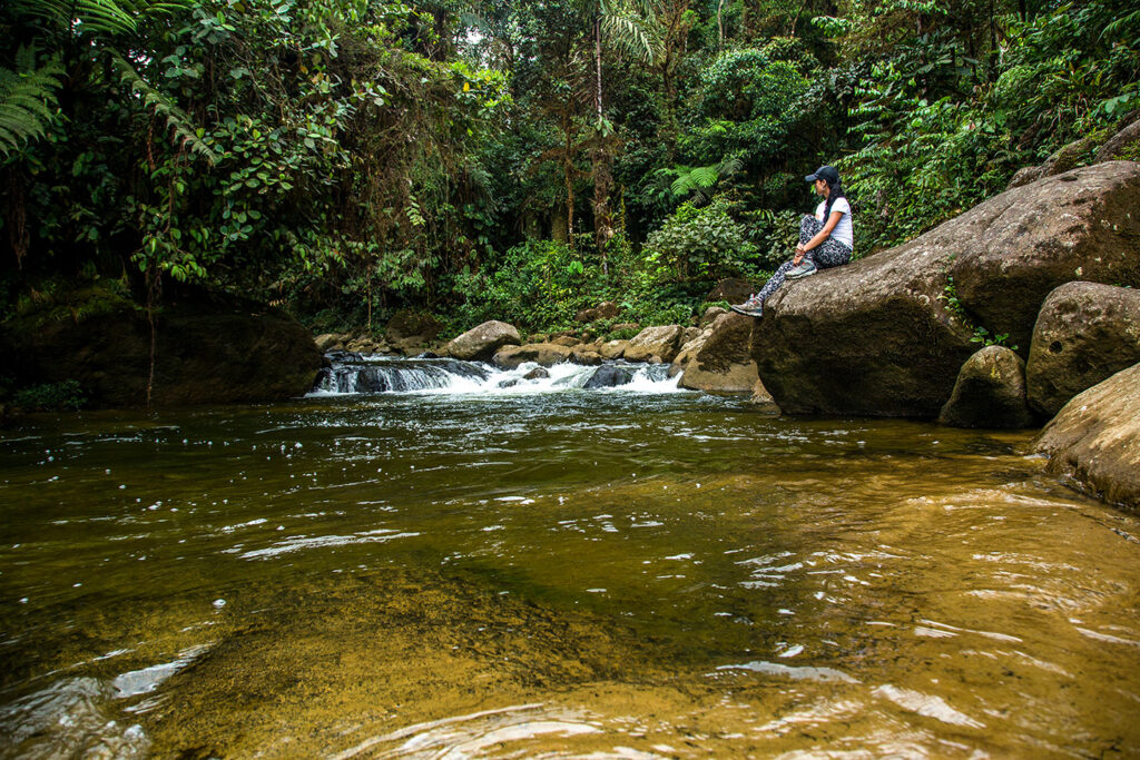 Reserva Natural Río Ñambí. corregimiento de Altaquer, municipio de Barbacoas Departamento de Nariño-Colombia. 
