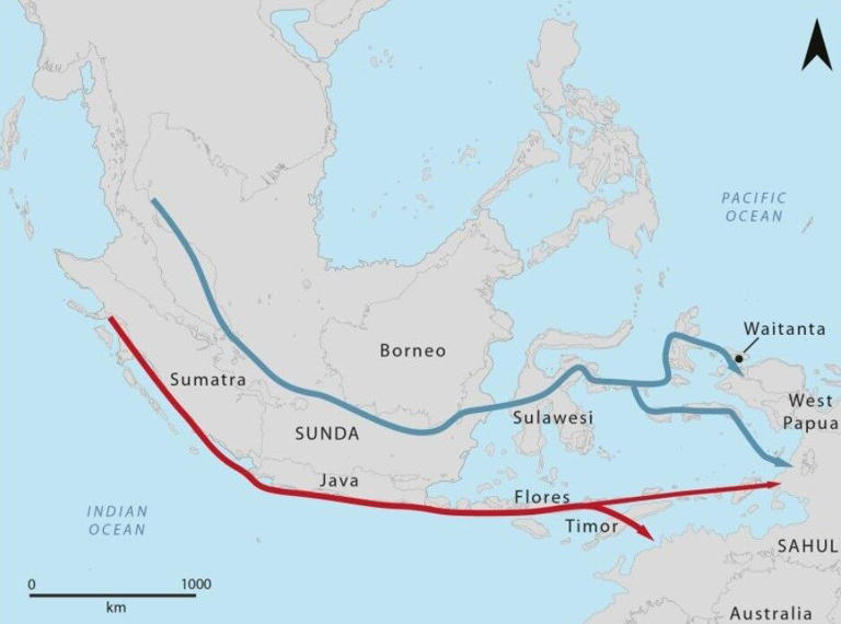 Antiguas rutas de migración de Asia a la región del Pacífico. Crédito:
