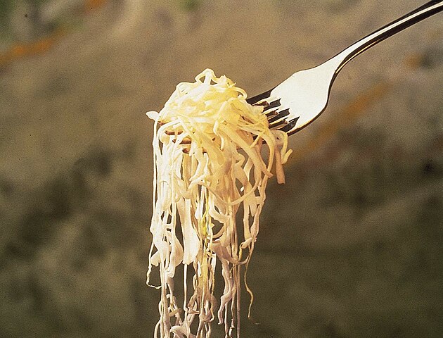 chucrut - probiotico natural