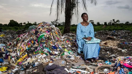 reina reciclaje en gambia