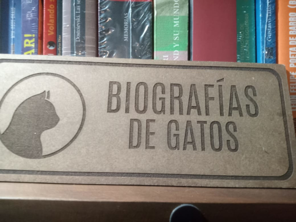 Biograías de gatos- Para ponerse a pensar.