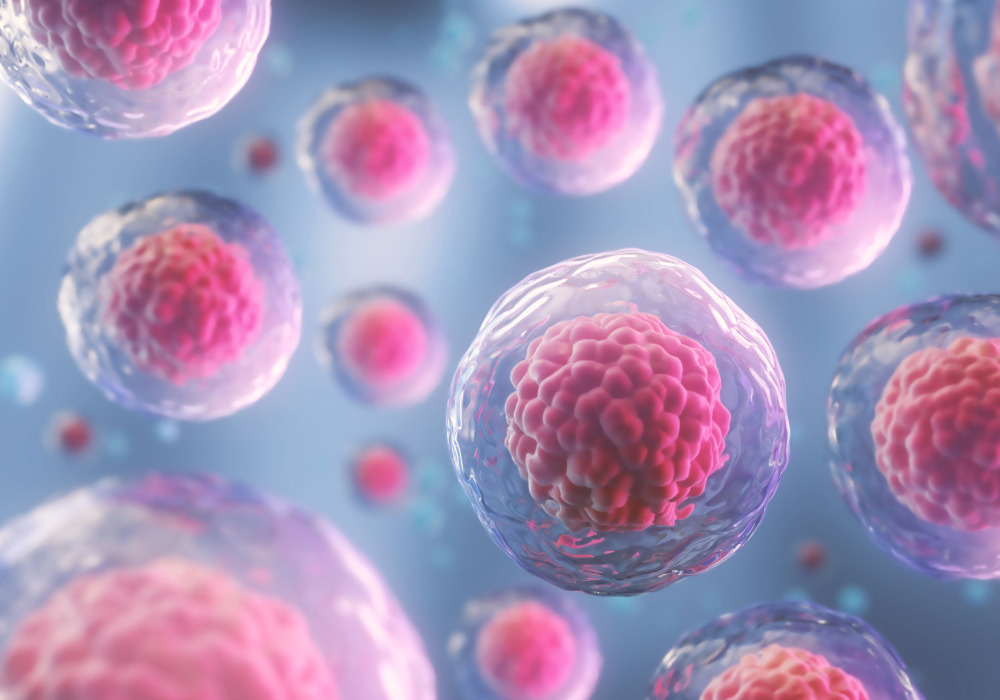 Un organismo genéticamente modificado (OGM), es un organismo cuyo ADN ha sido modificado.