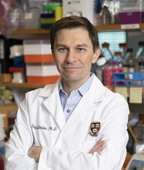 David Andrew Sinclair es un biólogo y académico australiano conocido por sus investigaciones sobre el envejecimiento y la epigenética.