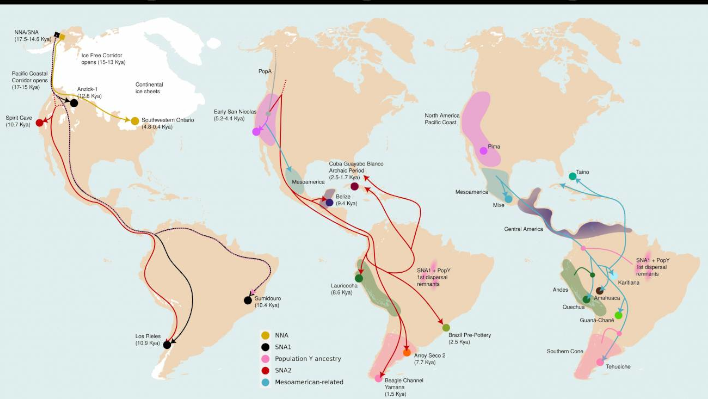 GRAN MAPA GENÉTICO INDÍGENA DE AMÉRICA